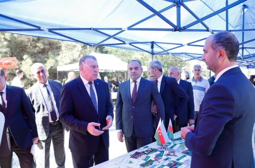 Sabirabadda toxum sərgi-satış yarmarkası keçirilib