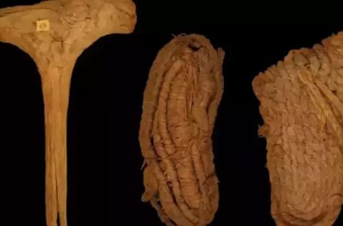Avropanın ən qədim ayaqqabısı tapılıb