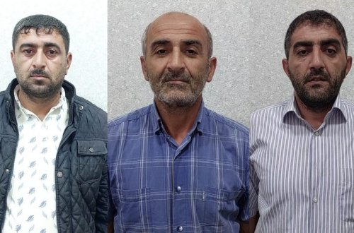 Lənkəranda meşədən mal-qara oğurlayanlar həbs edilib