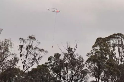 Avstraliyada 5 min hektardan çox ərazi külə dönüb