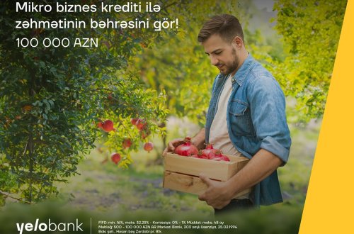 Bizneslə məşğul olanlara sərfəli mikro kredit!  