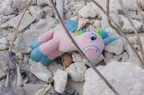 Əfqanıstanda zəlzələ nəticəsində ölənlərin sayı 2 445 nəfərə çatıb