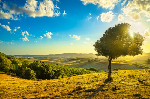 Oktyabrın 8-də Bakıda havanın temperaturu iqlim normasından 4 dərəcə yuxarı olub