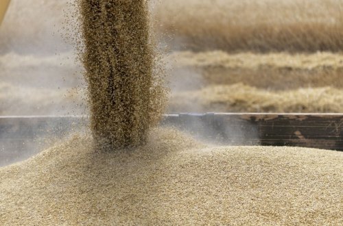 Rusiya və Ukraynadan taxıl daşıyan yük gəmiləri Mərmərə dənizində toqquşub