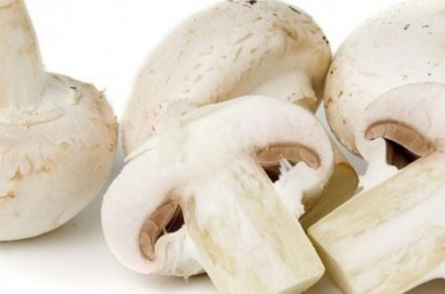 Qusarda 3 nəfər göbələkdən zəhərlənib, ikisi ölüb