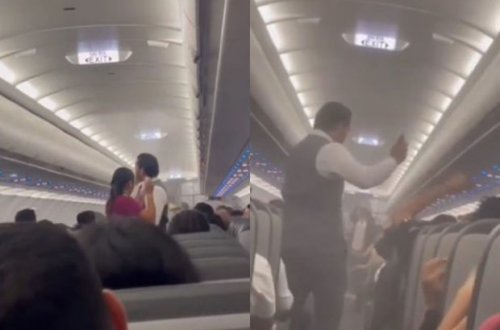 Meksikada böcəklər təyyarənin göyərtəsinə hücum edib - VİDEO