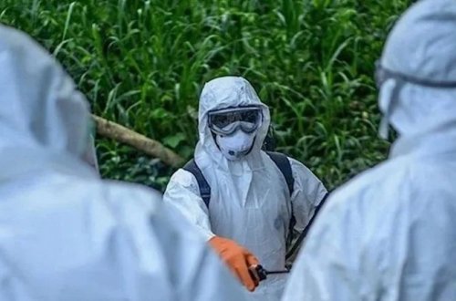 Epidemiya yayılır: Onlarla insan xəstəxanaya yerləşdirildi