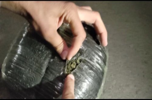 Tovuzda narkokuryerlik edən şəxslər tutulublar - FOTO/VİDEO