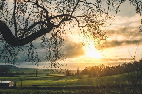 Növbəti iki gündə hava mülayim və sabit keçəcək, temperatur yüksələcək