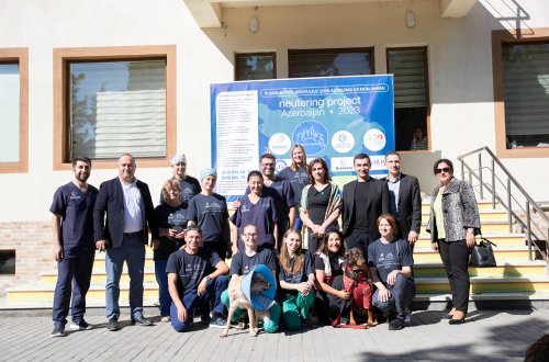 Baytarlıq Elmi-Tədqiqat İnstitutunun nəzdində fəaliyyət göstərən Baytarlıq Klinikasında sahibsiz heyvanların ödənişsiz sterilizasiya aksiyası keçirilib