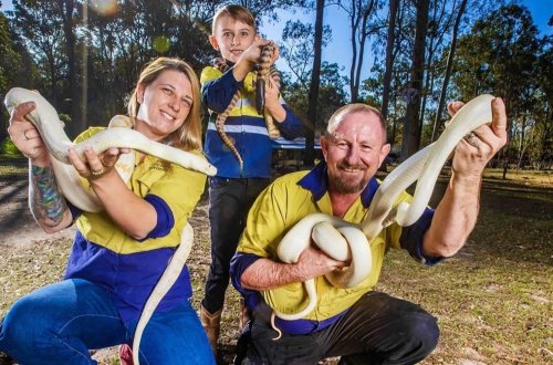 Canlı yayımda cütlük ilanın hücumuna məruz qaldı, vəziyyətləri ağırdır