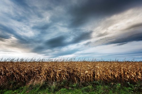 Sabaha gözlənilən hava şəraiti açıqlanıb