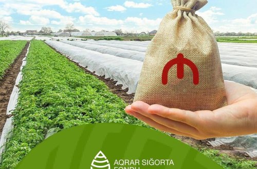 Aqrar Sığorta Fondu zərər ödənişlərinə başladı