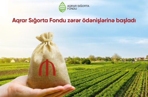 Aqrar Sığorta Fondu zərər ödənişlərinə başladı