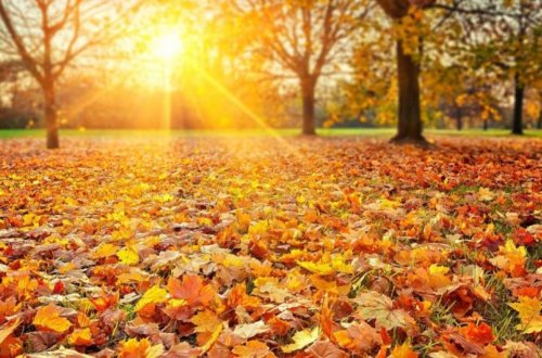 Sabah Bakıda 25, rayonlarda 30 dərəcə isti olacaq