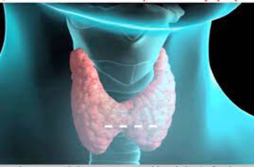 Qalxanabənzər vəzi üçün təhlükəli hallar açıqlanıb