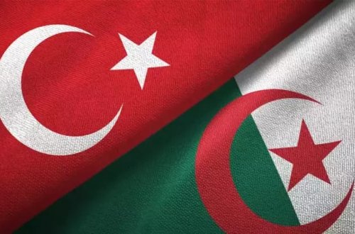 Türkiyə və Əlcəzair enerji əməkdaşlığı edəcək