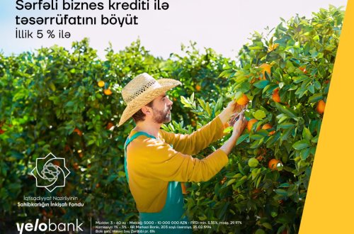 İllik cəmi 5%-lik kreditlə biznesinizi böyütməyə başlayın