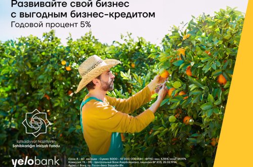 Начните развивать свой бизнес с кредитом всего 5% годовых
