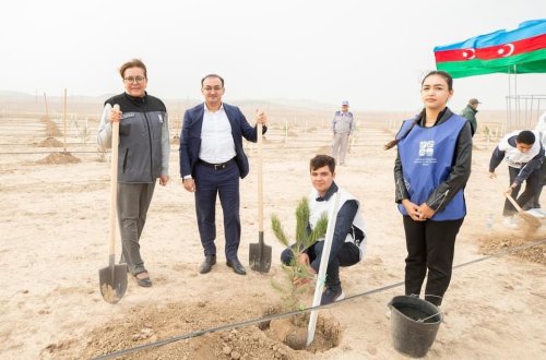 “ASAN xidmət”in “YAŞAT” Fondundan “Hər fidan bir xatirə” sosial təşəbbüsü!