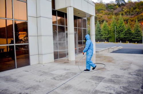 Qəhvəyi Mərmər Bağacığına qarşı mübarizə tədbirləri davam etdirilir