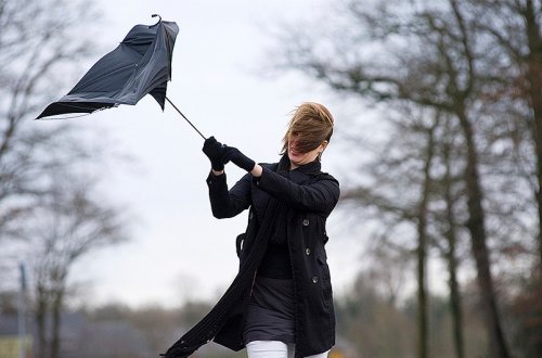 Sabah Bakıda külək əsəcək, rayonlarda duman olacaq