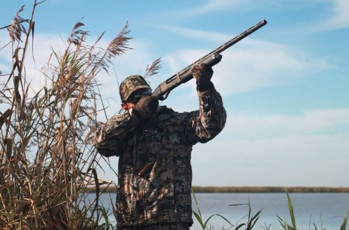 Azərbaycanda qanunsuz ov edən xarici vətəndaşlar saxlanılıb