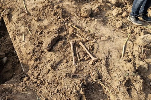 Ağdamda əkin sahəsində qəbir aşkarlandı - FOTO