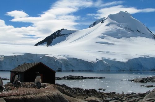 Геоинженеры предложили способ спасения льдов Антарктиды