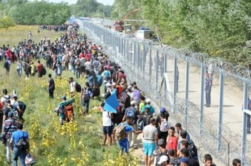 Dünya üzrə miqrantların sayı açıqlanıb