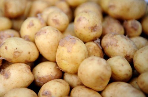 Azərbaycanda kartofun qiyməti ucuzlaşacaq? - AÇIQLAMA