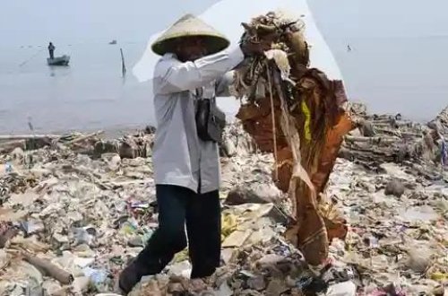 Dünya plastik çirklənməyə həll yolu axtarır