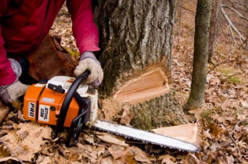 Qazax və Daşkəsəndə təbiətə yarım milyondan artıq ziyan vuruldu