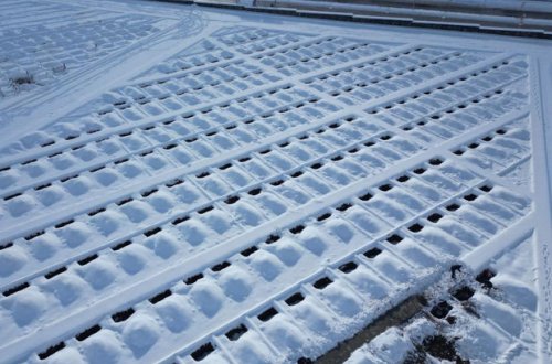 Türkiyədə qış üçün məzar hazırlıqlarına başlanılıb - VİDEO