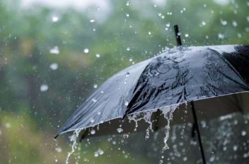 Sabah yağış yağacaq, külək əsəcək