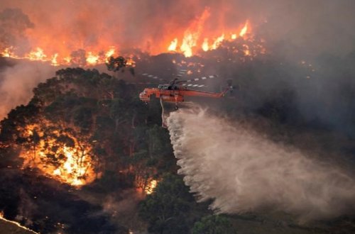 Qərbi Avstraliyada meşə yanğınları səbəbindən çoxlu insan təxliyə edilib