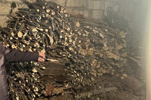 Şamaxıda qanunsuz ağac kəsən şəxs cərimələnib