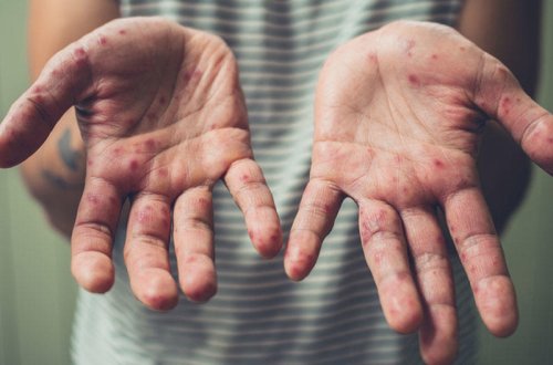 Bu rayonda məktəblərdə 1 həftəlik tətil elan olundu