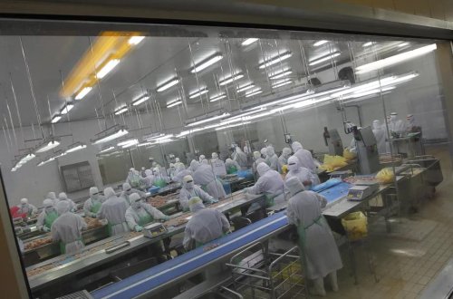 Yaponiyada quş qripi: 72 min ev quşu məhv ediləcək