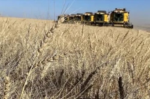 Malavi İsrailə 5 min işçi göndərəcək