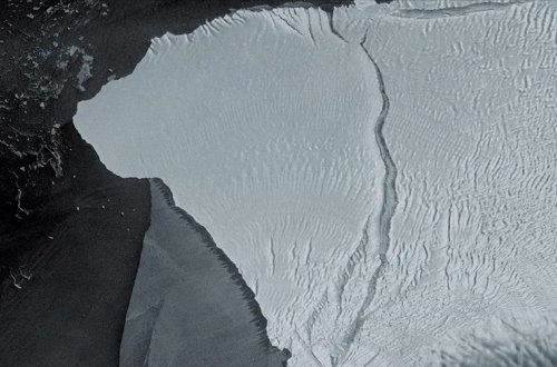 Dünyanın ən böyük aysberqi hərəkət etməyə başladı