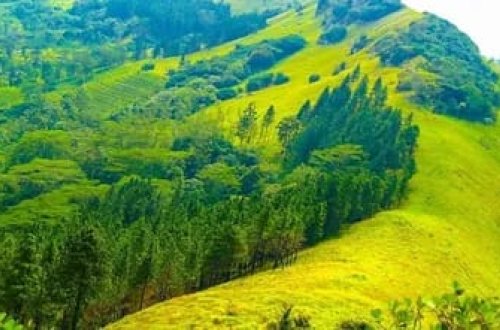 Dağda qalan 180 şagird xilas edilib