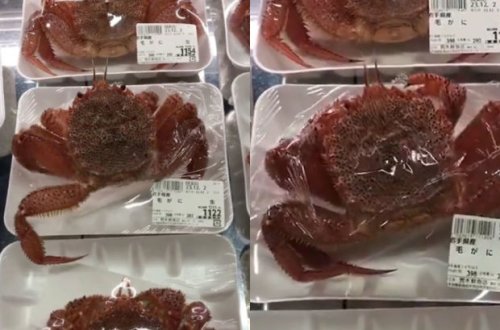 Çində dəhşətli görüntü: Marketdə qablaşdırmanın içində satılan xərçəng canlandı - VİDEO