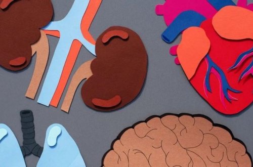 Orqanların nə qədər sürətli qocaldığını müəyyən edən yeni qan testi hazırlanır