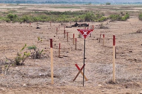 Azad edilmiş ərazilərdə ötən həftə 171 mina, 340 sursat aşkarlanıb