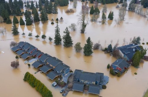 Bu ölkədə iqlim dəyişikliyi səbəbindən 3,2 milyondan çox əhali köçüb