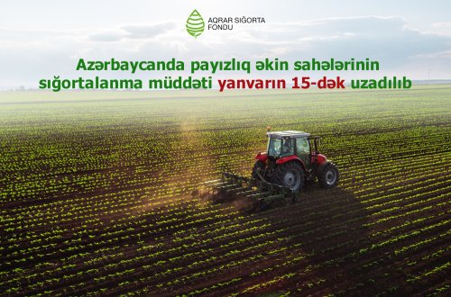Azərbaycanda payızlıq əkin sahələrinin sığortalanma müddəti  yanvarın 15-dək uzadılıb