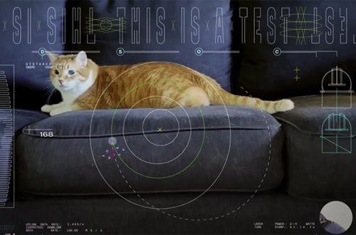 NASA kosmosdan Yerə pişik videosu göndərib - Video