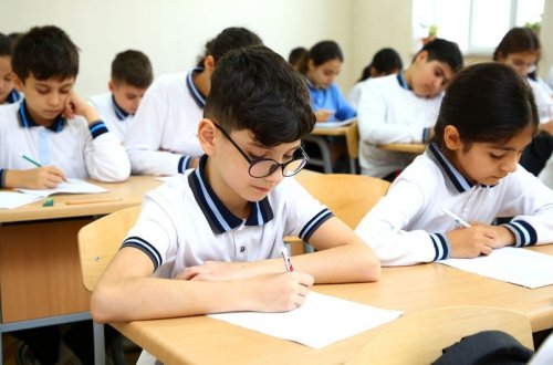 46 məktəbdə operativ monitorinqlər keçirilib