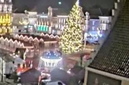 Milad bazarında dəhşətli qəza: 20 metr hündürlüyündə ağac AŞDI